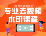 专业去视频水印教程 静态水印、动态水印、文字水印、图片水印一套教程通通搞定-最全资源库