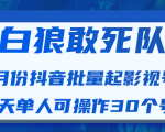 白狼敢死队最新抖音短视频批量起影视号（一天单人可操作30个号）视频课程-最全资源库