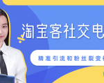某站内部课程：淘宝客社交电商裂变，精准引流和粉丝裂变模式详解（共6节视频）-最全资源库