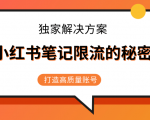 小红书笔记限流的秘密，被限流的笔记独家解决方案，打造高质量账号（共3节视频）-最全资源库