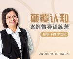 颠覆认知，案例督导训练营：打破旧模式 引领新思维-最全资源库