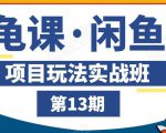 龟课·闲鱼项目玩法实战班第13期，轻松玩转闲鱼，多渠道多方法引流到私域流量池-最全资源库