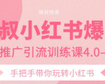狼叔小红书爆款推广引流训练课4.0，手把手带你玩转小红书-最全资源库