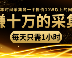 年赚十万的采集站，每天却只需要1小时，一年时间采集出一个售价10W以上的网站-最全资源库