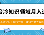 抖音冷知识领域月入过万项目,不适宜公开解决方案 ,抖音赚钱方式大解析!-最全资源库