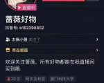 爆抖联盟蔷薇好物连怼100技术，一天连怼上百个视频，单场直播平均带货30万玩法-最全资源库