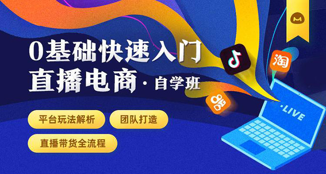 0基础快速入门直播电商课程:直播平台玩法解析-团队打造-带货全流程等环节-最全资源库