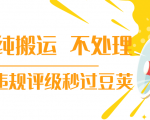 抖音纯搬运 不处理 小技巧,30秒发一个作品,避免违规评级秒过豆荚-最全资源库