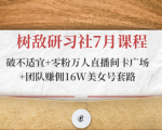 树敌研习社7月课程:破不适宜+零粉万人直播间卡广场+团队赚佣16W美女号套路-最全资源库