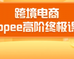 2020跨境电商蓝海新机会-SHOPEE大卖特训营:高阶终极课程(16节课)-最全资源库