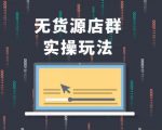 无货源店群实操玩法，蓝海选品的独特思路，店群软件操作方法（45节视频课）-最全资源库