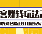 淘客赚钱玩法2.0,阳光绿色超正规项目,月躺赚2W+【视频课程】-最全资源库