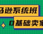 亚马逊系统班，专为0基础卖家量身打造，亚马逊运营流程与架构-最全资源库