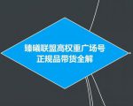 臻曦联盟抖音高权重广场号无人直播正规品带货全解-最全资源库