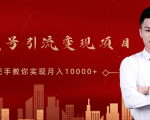 微信视频号运营变现课,带你玩转视频号实现月入10000+-最全资源库