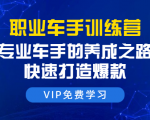 职业车手训练营:专业车手的养成之路,快速打造爆款(8节-无水印直播课)-最全资源库