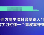 抖音基础入门班:小白0基础学习打造一个高权重赚钱的抖音号-最全资源库