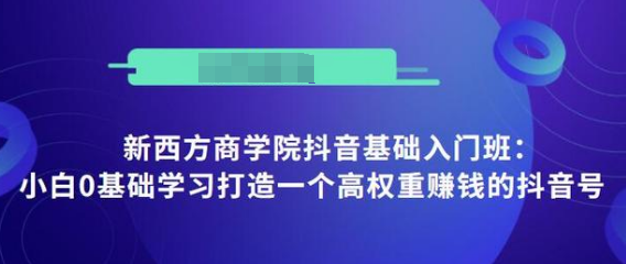 抖音基础入门班：小白0基础学习打造一个高权重赚钱的抖音号-最全资源库