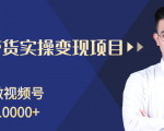 柚子分享课:微信视频号变现攻略,新手零基础轻松日赚千元-最全资源库