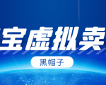 黑帽子淘宝虚拟卖货项目,单店每月收入5000+-最全资源库