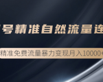 垂直起号精准自然流量连爆玩法，精准引流暴力变现月入10000+-最全资源库