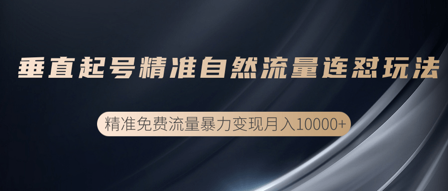 垂直起号精准自然流量连爆玩法,精准引流暴力变现月入10000+-最全资源库
