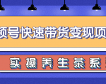 柚子视频号带货实操变现项目,零基础操作养身茶月入10000+-最全资源库
