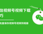 微信视频号视频下载技巧,轻松批量保存视频号等无水印视频到相册-最全资源库