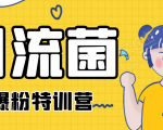 引流菌2020全网爆粉特训营（QQ群霸屏，知乎引流，群裂变，自动化引流等）-最全资源库