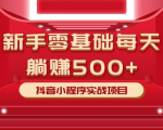 最新小白赚钱项目,零基础每天躺赚500+抖音小程序实战项目-最全资源库