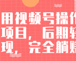 视频号操作书单变现项目,后期轻松变现,完全躺赚日入300至500元-最全资源库
