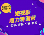 零基础小白进阶到大神《短视频魔力特训营》定位-运营-引流-变现-最全资源库