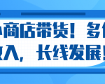 微信小商店带货,爆单多倍收入,长期复利循环!日赚300-800元不等-最全资源库