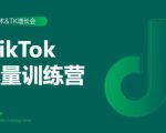 2020最新TikTok流量增长训练营(完结)附PPT-最全资源库