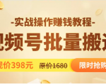 视频号批量运营实战教程，让你一天创作100个高质量视频，日引5W+流量-最全资源库