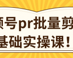 视频号PR批量剪辑0基础实操课,PR批量处理伪原创一分钟一个视频【共2节】-最全资源库