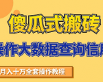 搬砖操作大数据查询信用项目赚钱教程,祝你快速月入6万-最全资源库
