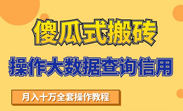 搬砖操作大数据查询信用项目赚钱教程,祝你快速月入6万-最全资源库