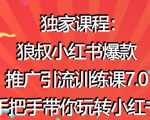 狼叔小红书爆款推广引流训练课7.0，手把手带你玩转小红书-最全资源库