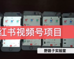 野路子小红书视频号1.0项目，直接上手操作就能赚钱的视频号项目-最全资源库