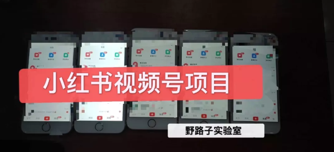 野路子小红书视频号1.0项目，直接上手操作就能赚钱的视频号项目-最全资源库