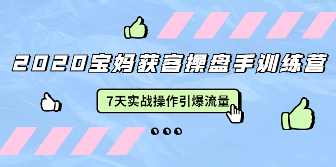 2020宝妈获客操盘手训练营:7天实战操作引爆 母婴、都市、购物宝妈流量-最全资源库