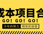 低成本零成本项目合集：赚钱快的慢的、暴利的，线上线下的，价值万元资料-最全资源库