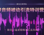 黄岛主·FM音频引流特训营2.0:独家引流模式,单账号50W+播放量,轻松变现-最全资源库