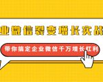 企业微信裂变增长实战课：带你搞定企业微信千万增长红利，新流量-新玩法-最全资源库