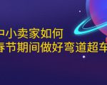 淘宝中小卖家如何利用春节期间做好弯道超车,如何做到月销售额20W+-最全资源库