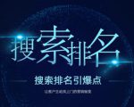 搜索排名引爆点:教你快速掌握各个搜索引擎排名算法,让客户主动找上你的秘笈-最全资源库