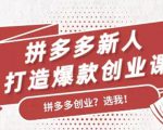 拼多多新人打造爆款创业课:快速引流持续出单,适用于所有新人-最全资源库