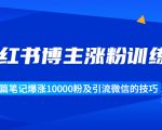 小红书博主涨粉训练营：一篇笔记爆涨10000粉及引流微信的技巧-最全资源库