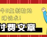 —牛B复制粘贴赚钱术!牛逼持久收入极品闷声发财项目,首发揭秘独此一家!-最全资源库